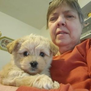 Meet your Posher, Cynthia